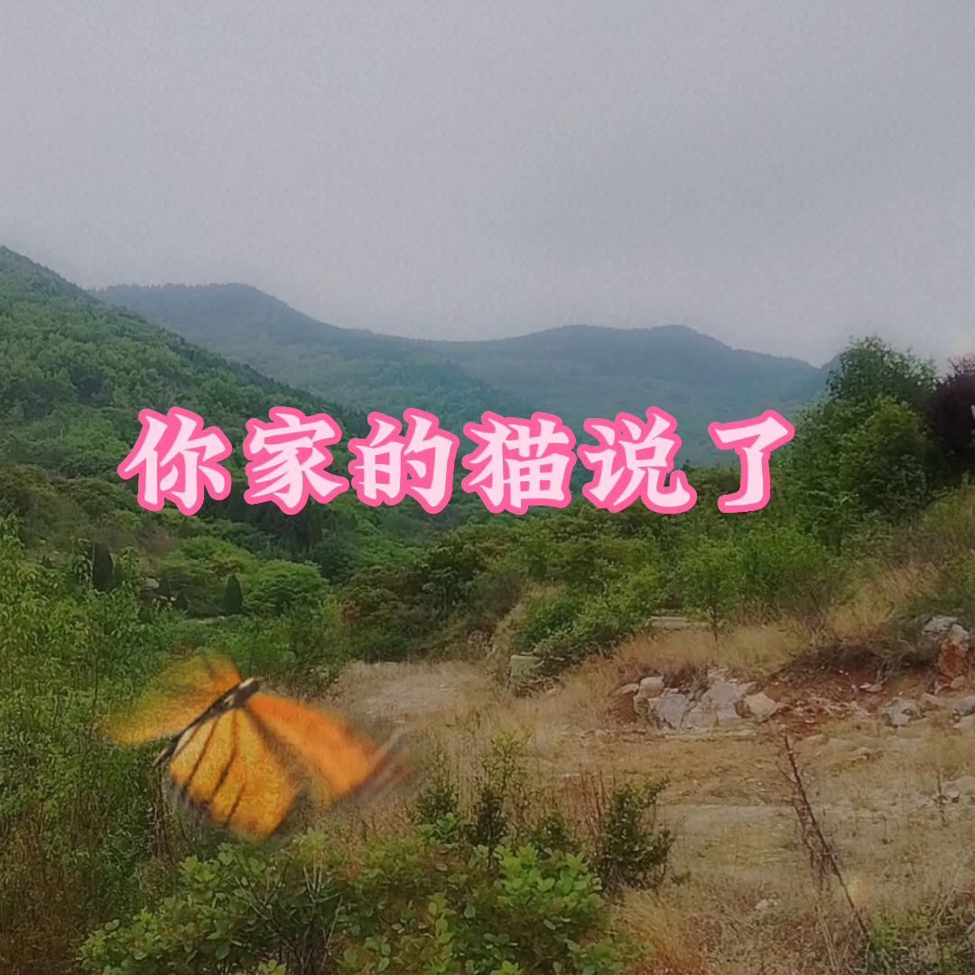 姘戦棿鏁呬簨鏁戜汉鎬у懡鐨勯粍榧犵嫾,鏁戜簡鐥呴噸鐨勯粍榧犵嫾姘戦棿鏁呬簨