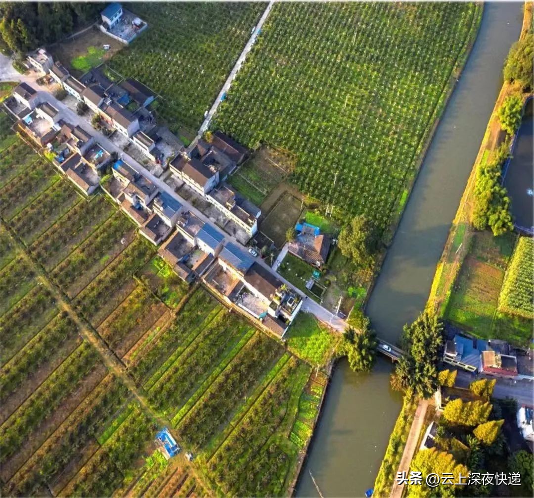 一粒种子的传奇故事,新津发展史