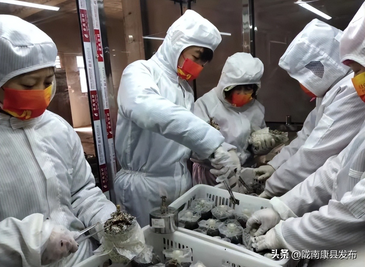 【身边榜样】(第4期)——三河坝镇县政协委员郭睿:乡村振兴路上的产业致富带头人