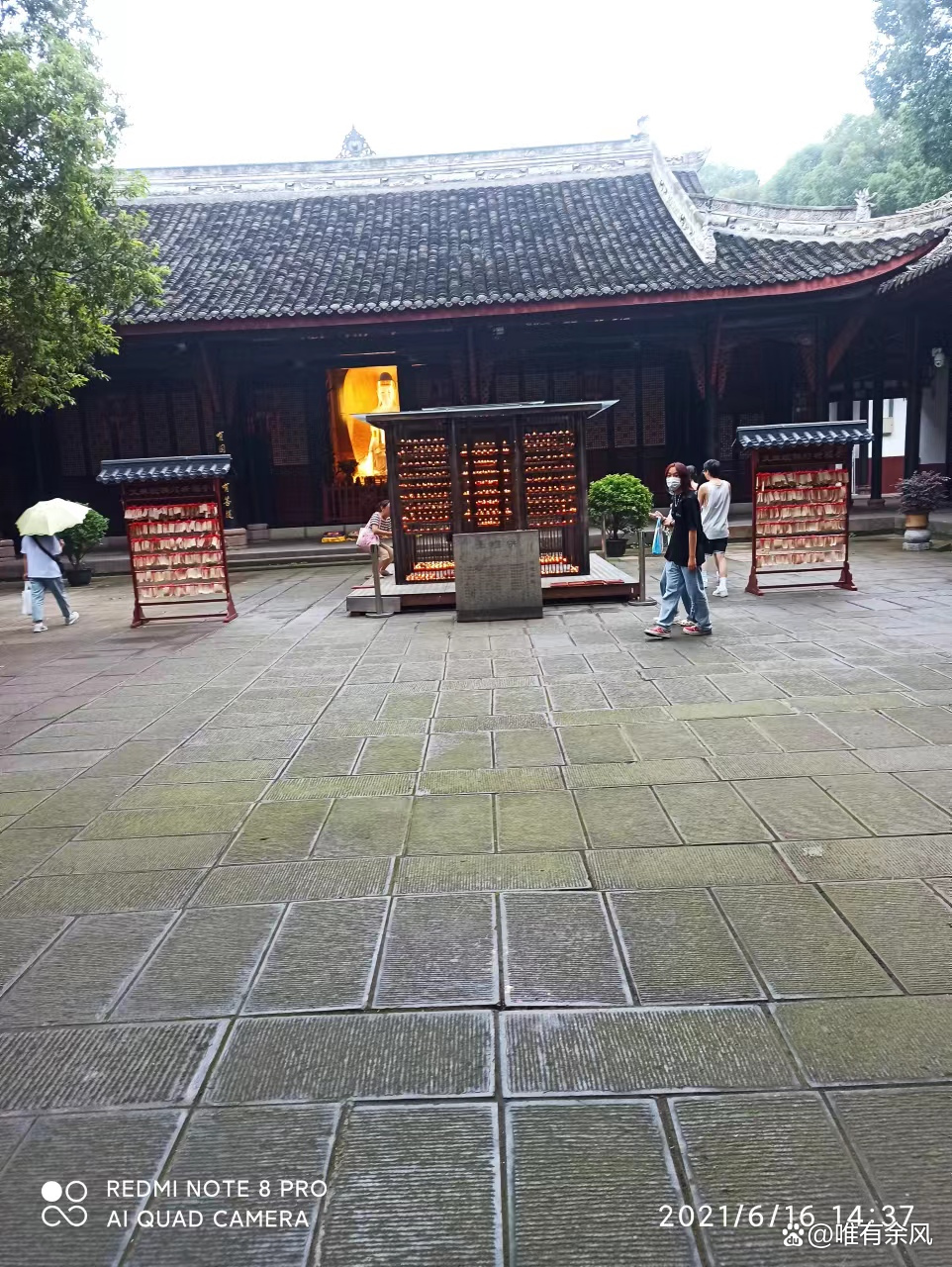 成都免费耍雪36个景点,成都周边看花景点推荐免费