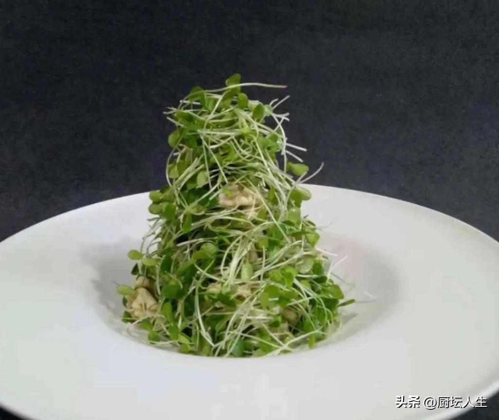 适合长期吃的养生菜,适合年轻人的营养健康食谱