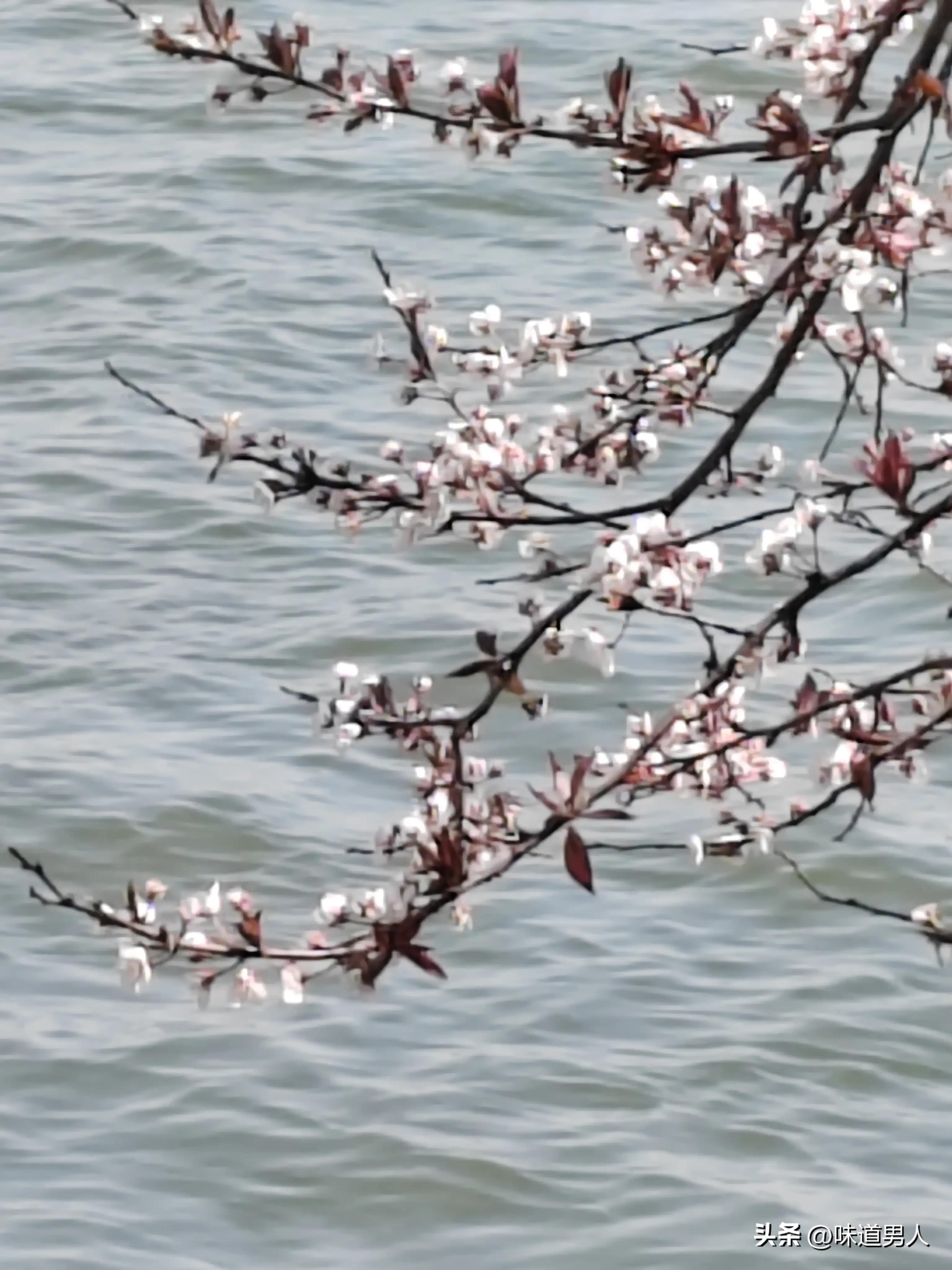 一个人遇到烦心事怎么解决,一个人遇到很烦心的事