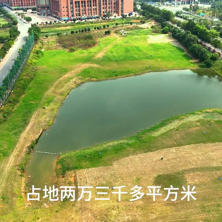 蓝航高尔夫,广西蓝航高尔夫培训