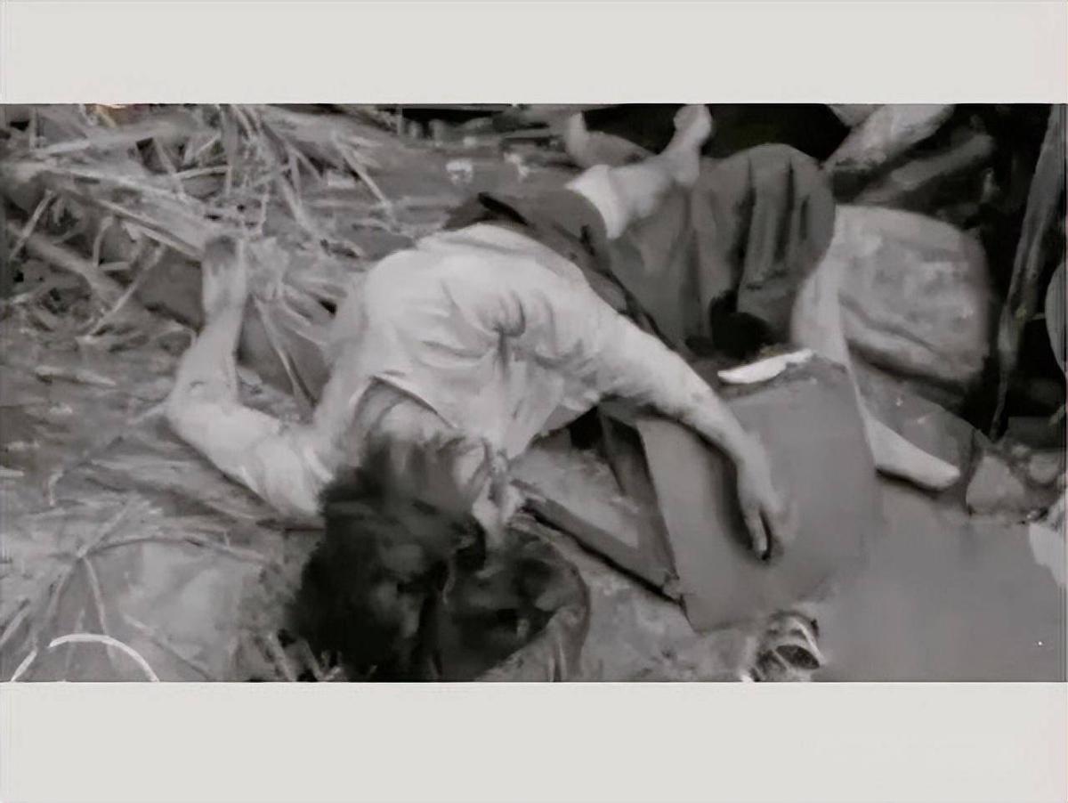 日军攻陷南京暴行纪实,日军侵华屠杀罪行