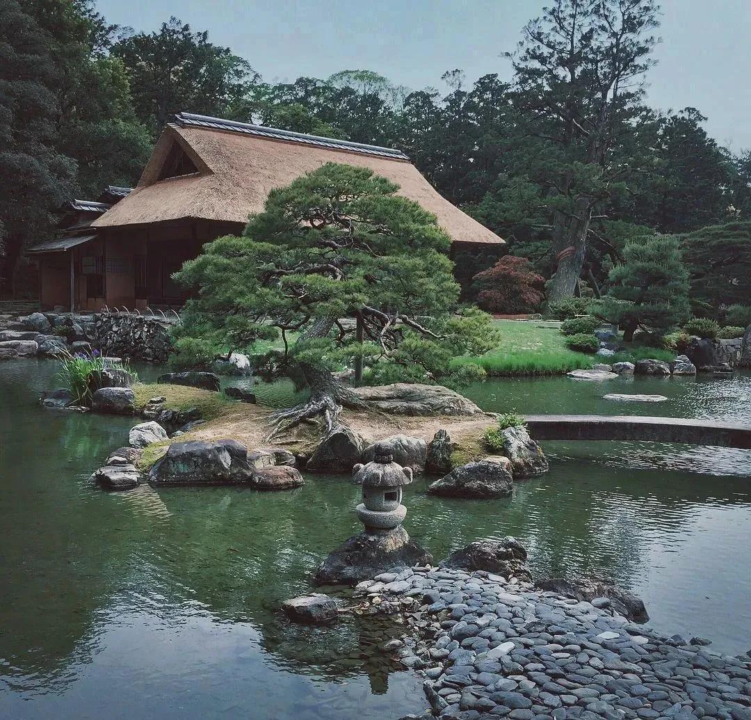 花园适合种的植物,在花园种植哪些植物比较适合