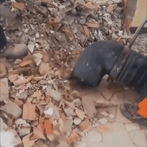 活久见！这些特殊的“专业工具”，简直令人大开眼界！