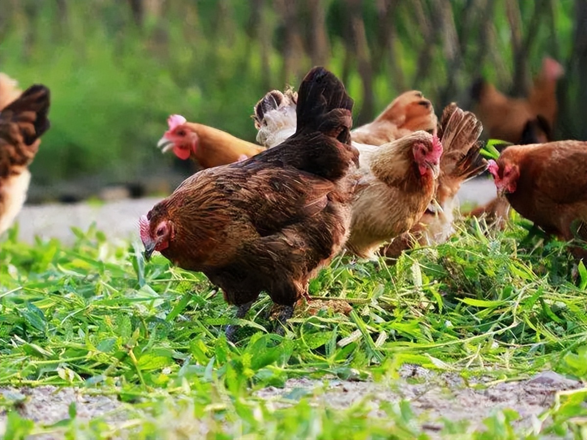 “造穷”致富的时代来了，有人已经赚得盆满钵满了