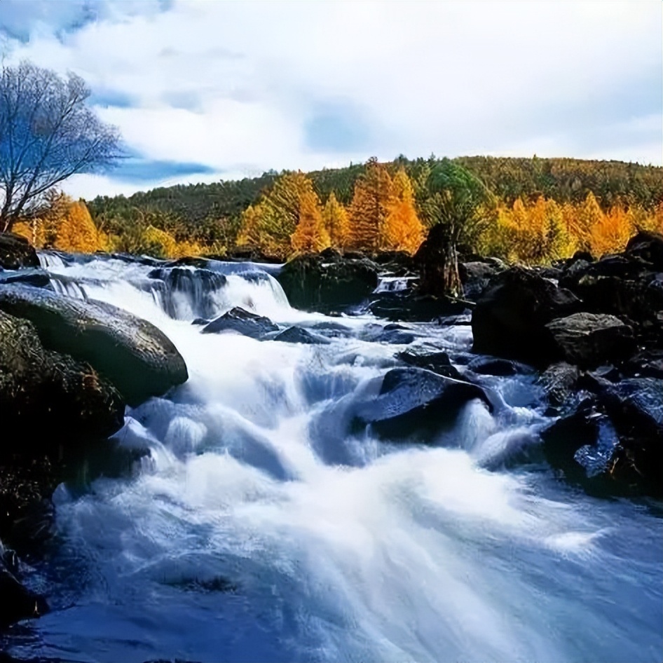 向北向北！|“美”在内蒙古