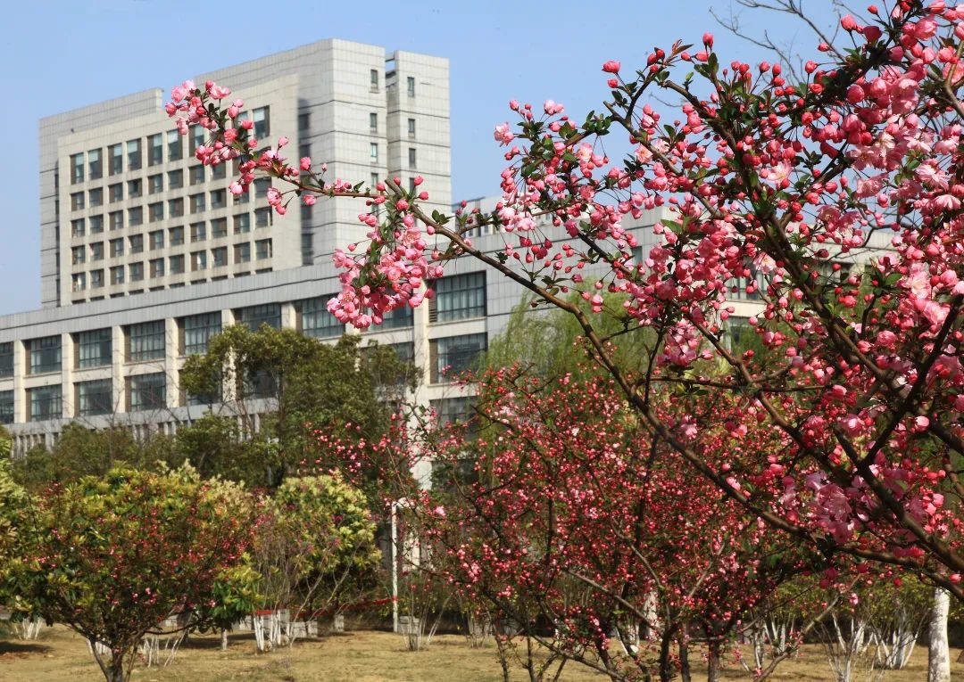 为什么选择华夏理工？十大理由告诉你！