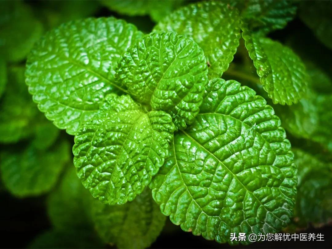 百炎净用药注意事项,小儿用药注意事项