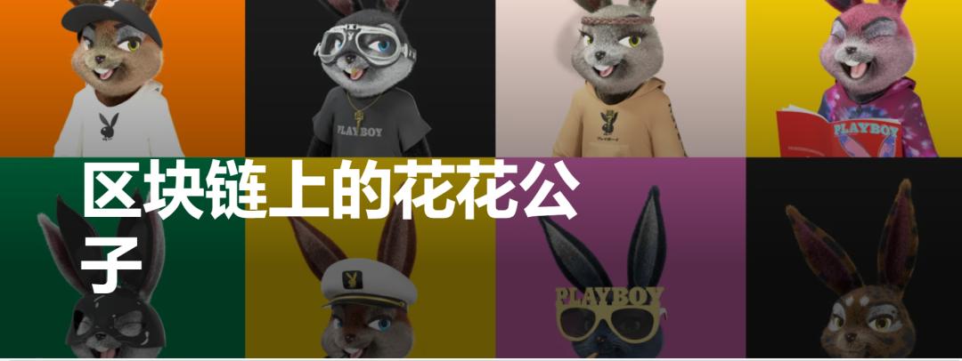 鑺辫姳鍏瓙鑵曡〃鎷嗗嵏,鑺辫姳鍏瓙鎷嗚В