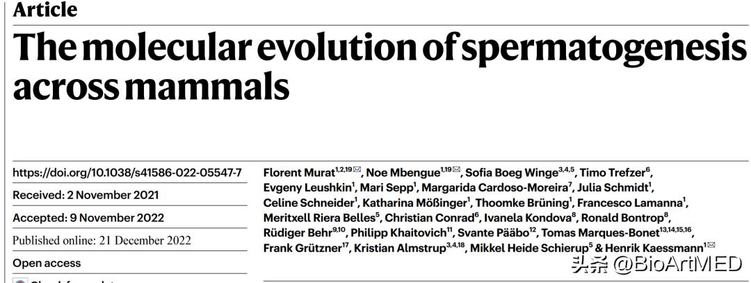 哺乳动物精子发生哪些变化,哺乳动物哪个的精子最多