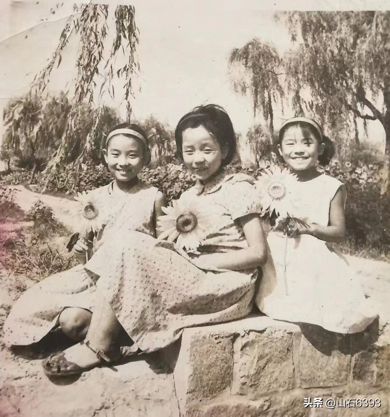 「战友美文」陈民的“永远的78师”25：《“北大荒”的青葱岁月》