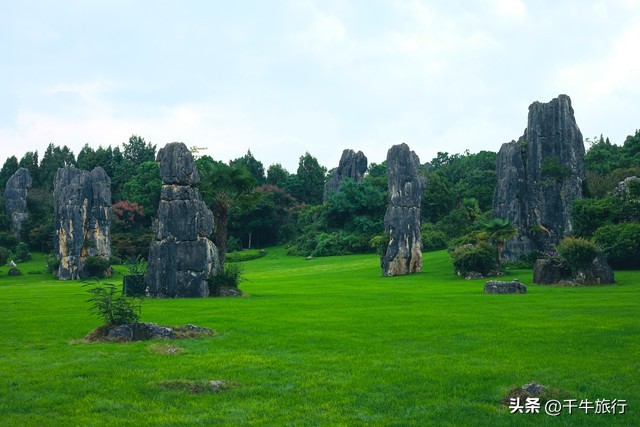 云南必去的4个景点,云南网红打卡景点