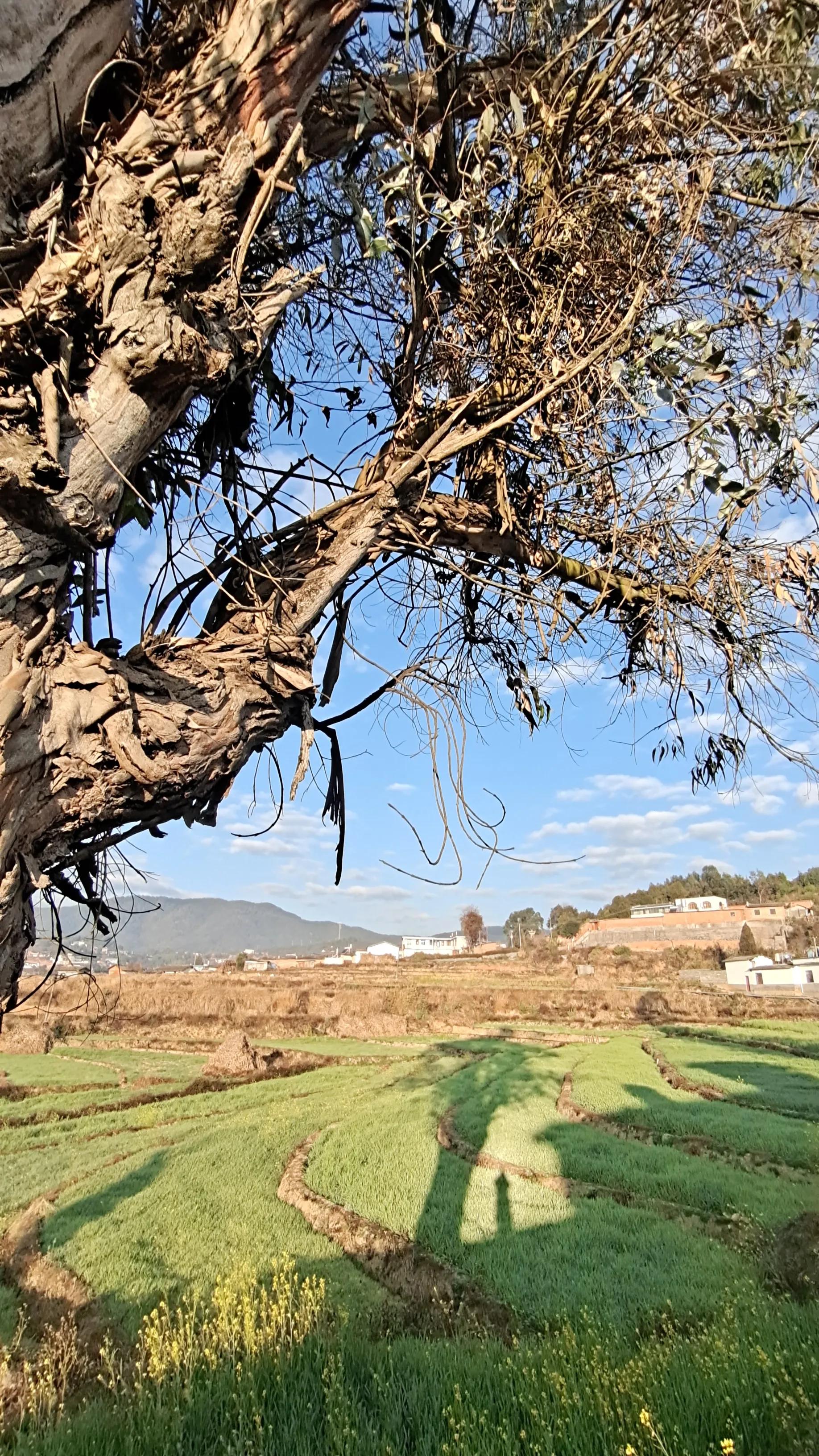 云南小镇的养老房，哪些可以买，哪些是坑不能买