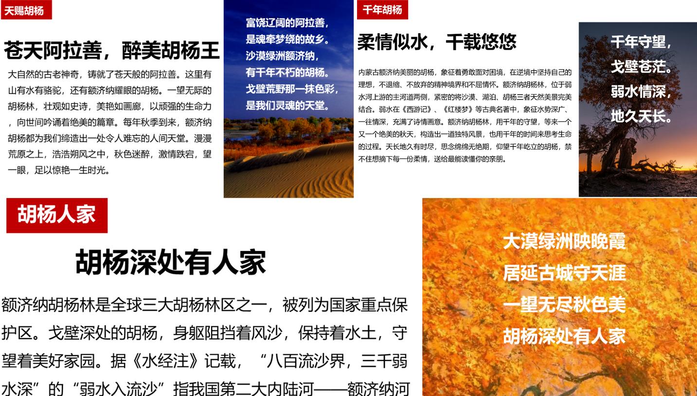 内蒙胡杨王酒简介,内蒙胡杨王白酒