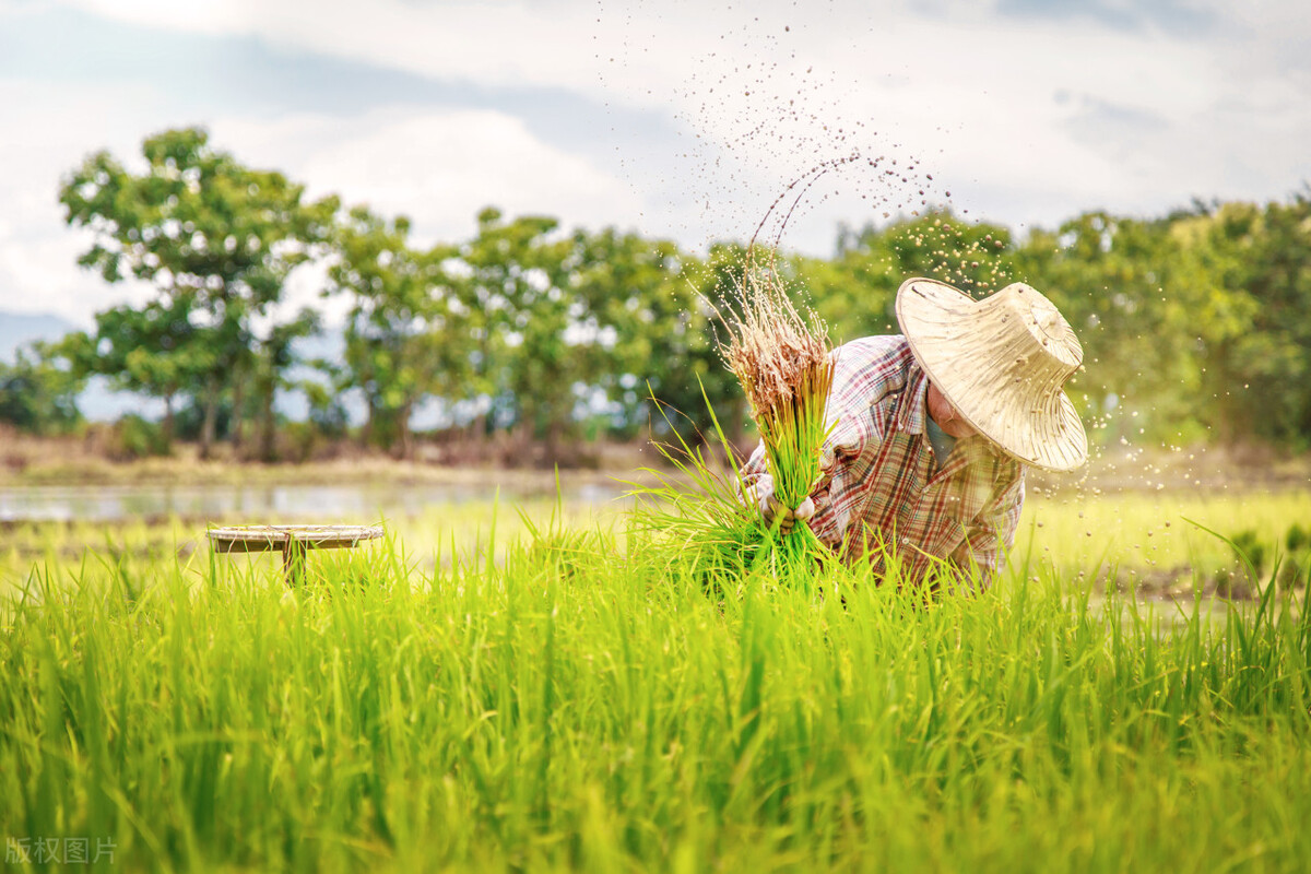 休闲农业创业发展前景分析,休闲农业创业团队优势分析