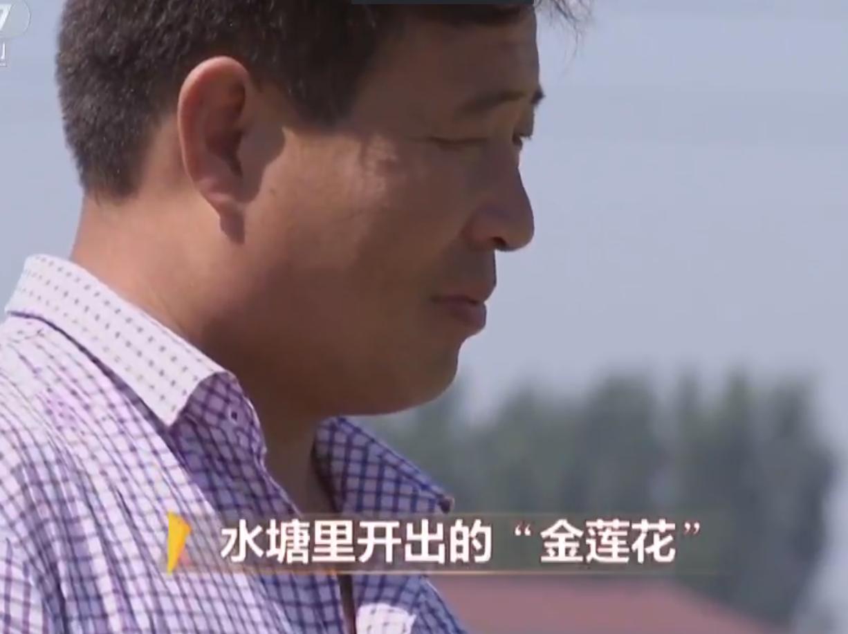 种莲藕能赚多少钱,90后种莲藕发家致富