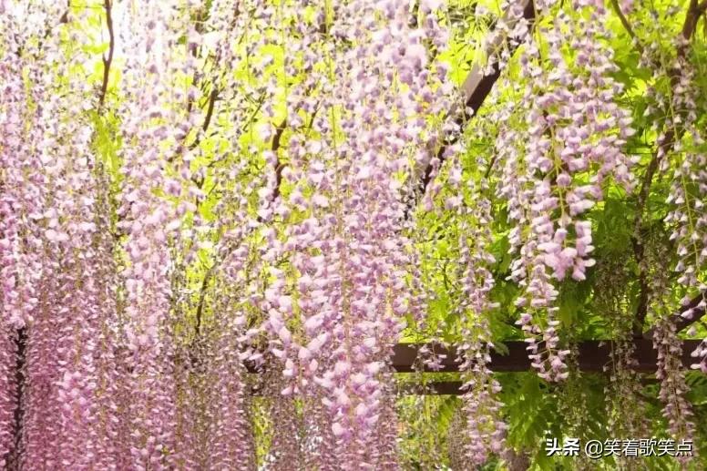 小小说：真是病得不轻