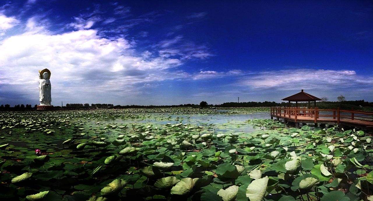 保定和太原哪个发达,保定和太原中间的城市
