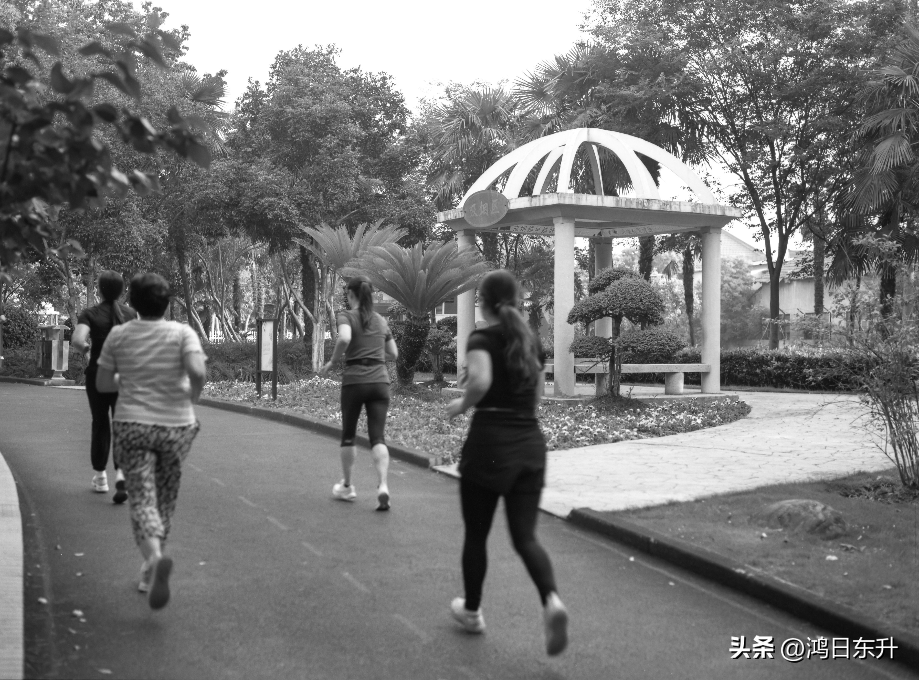 宾得645Nii老胶片相机值得拥有