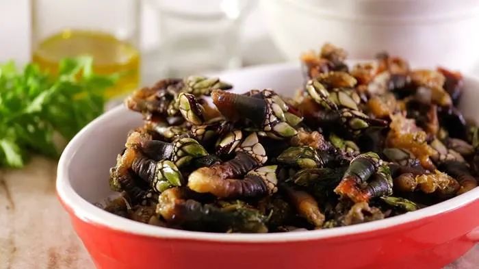 在浙江吃藤壶，还以为吞了个鬼手