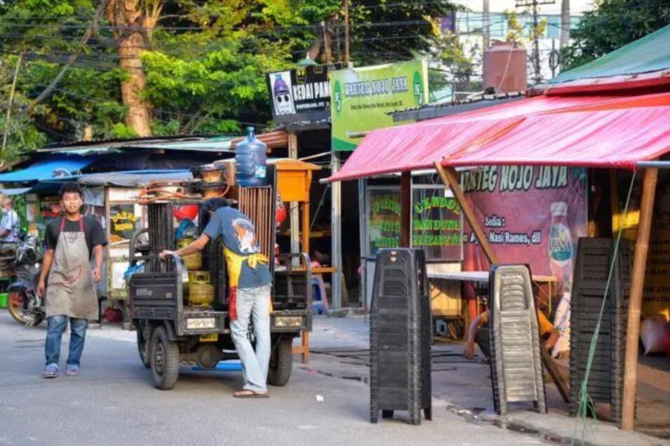 为什么需要重视印度尼西亚,印度尼西亚为什么生物灭绝