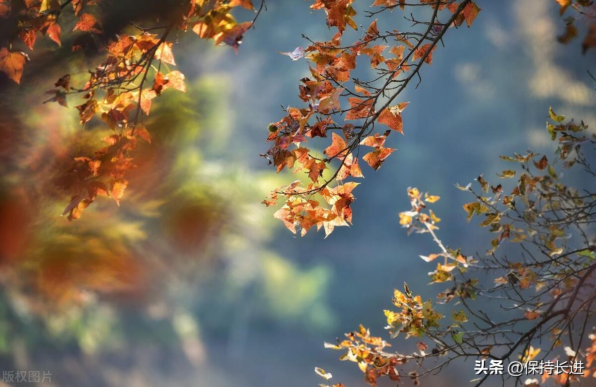 读李煜的感悟,南唐后主李煜的一首悲伤诗