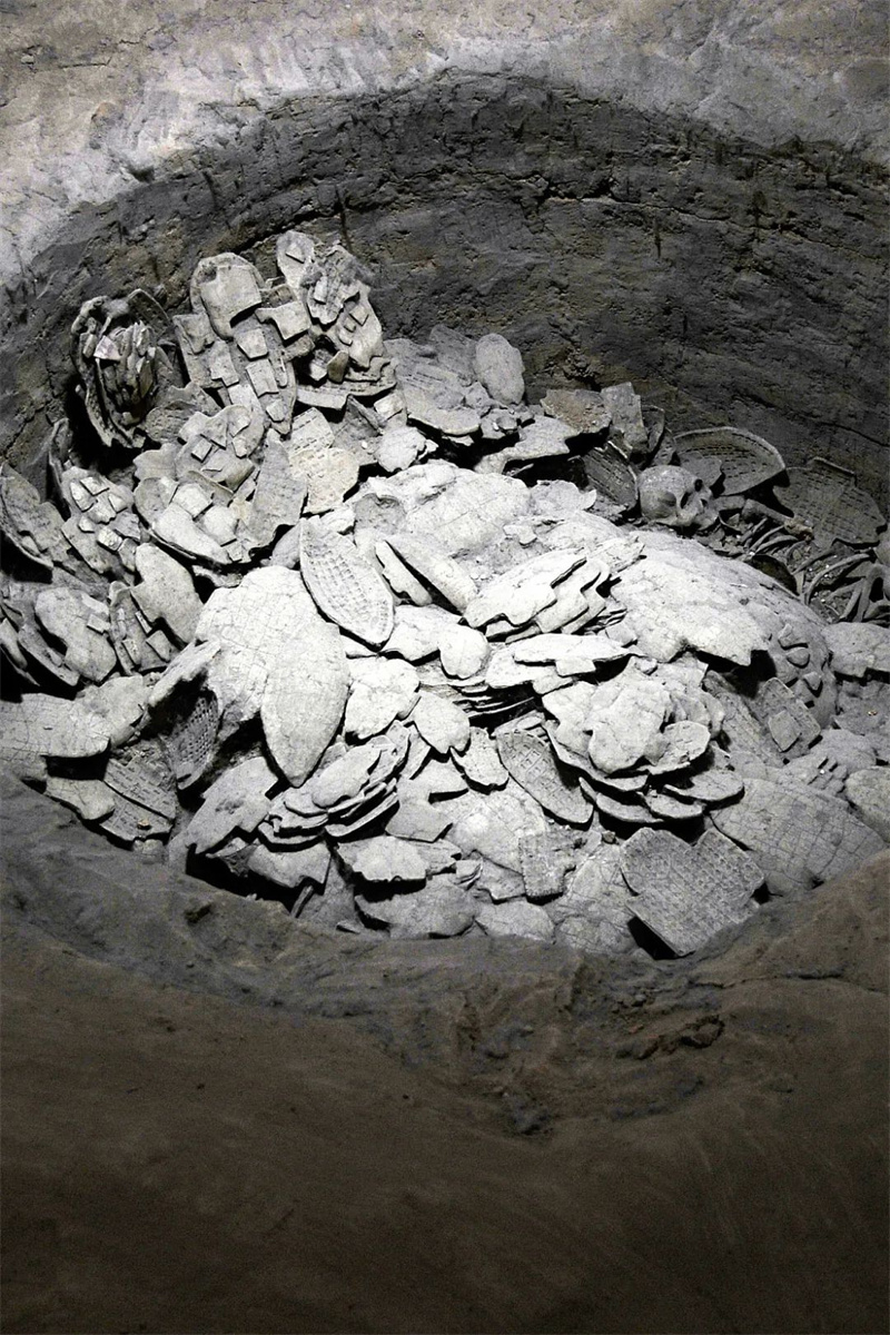 行走河南读懂中国数字文化,行走河南读懂中国之龙门石窟