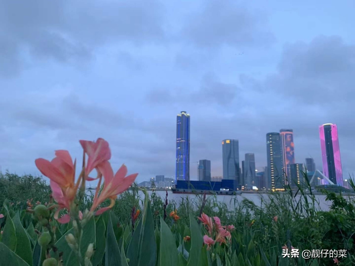 20220613珠海市湾仔码头之海边自行车游玩日记