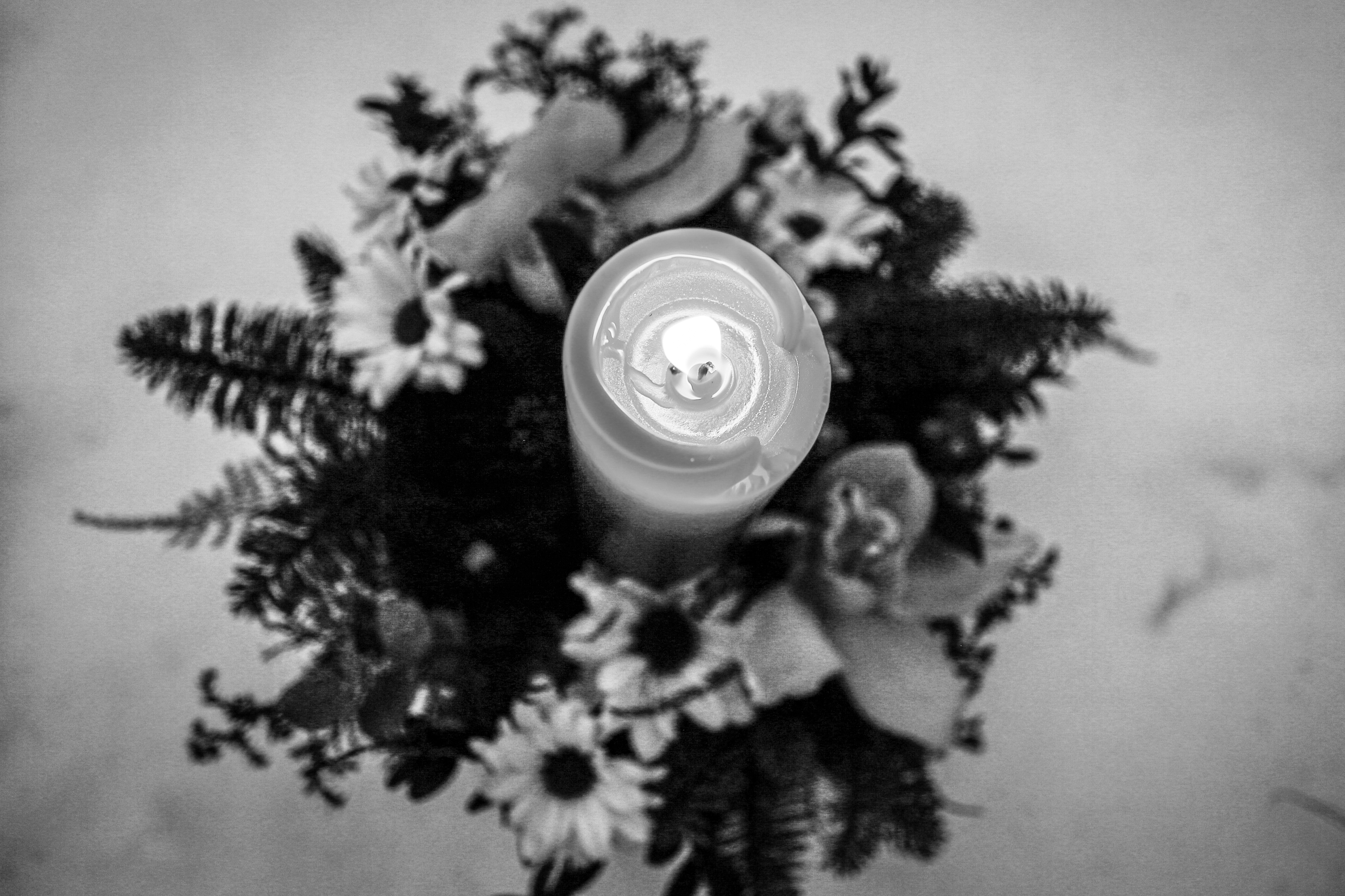 索尼世界摄影获奖作品图片,索尼世界摄影大赛获奖作品展示