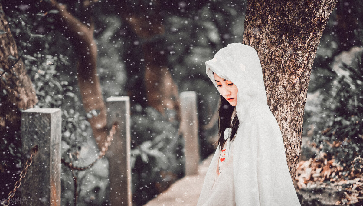 关于雪的古诗五首,古诗雪尤袤中的雪是什么样子的