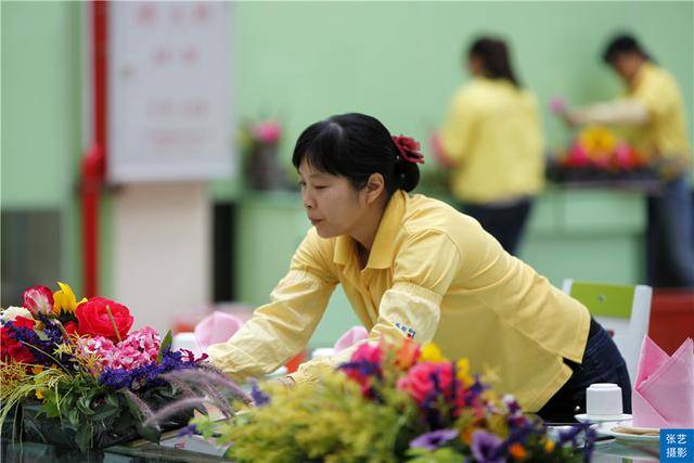 广州百万葵园葵花的花期,广州百万葵园五月份有什么花看