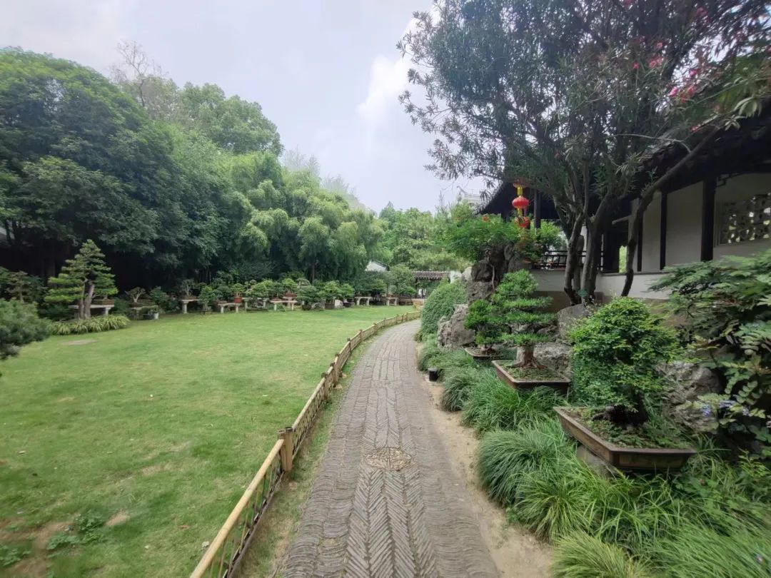 旧时王谢堂前燕出自南京吗,六朝古都旧时王谢堂前燕