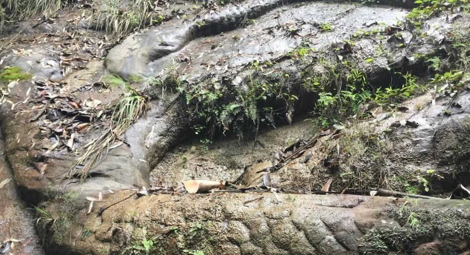 中国一省发现大宝藏,中国的巨型宝藏