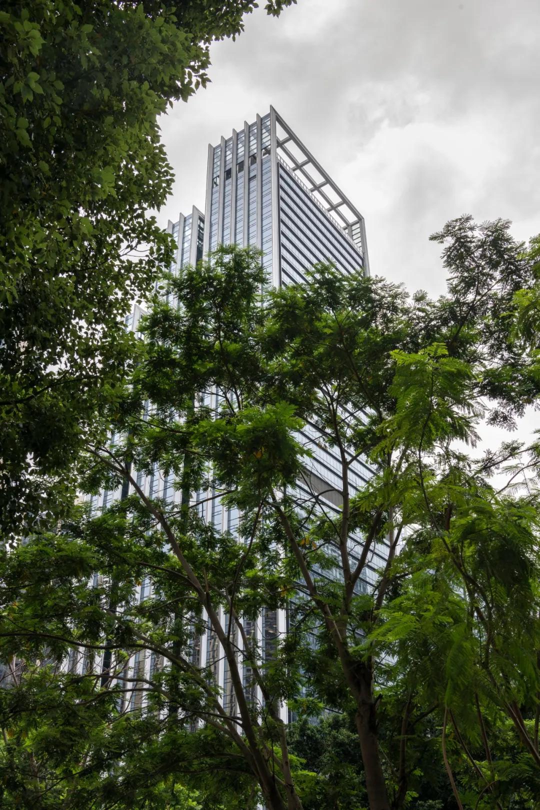 未来即明天,未来即现在最新全部章节在线阅读