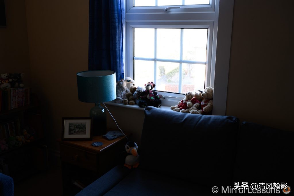 拍鸟用尼康d6好还是z7ii好,拍鸟买r6还是r5