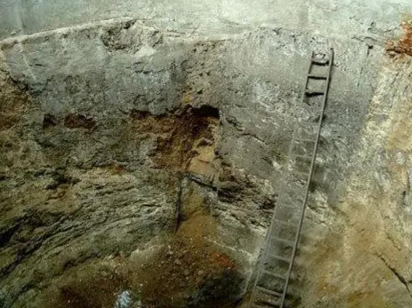 71年洛阳发掘含嘉仓，意外发现储存千年的谷粒，竟然还能发芽