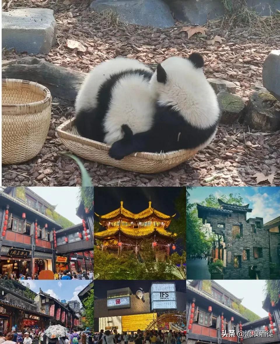 成都2天1夜保姆级旅游攻略,成都保姆级旅游攻略