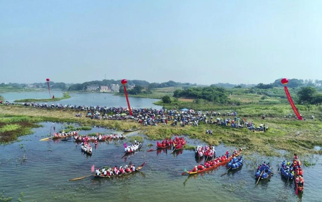 【浔阳往事】冯晓晖——九江端午赛龙舟