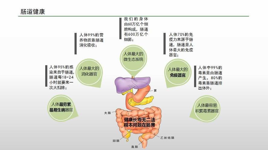 浣庨挋楗叉枡,浣庨挋鏃ョ伯