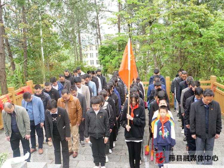 全县清明节纪念烈士陵园活动方案,清明节祭扫烈士墓园美篇