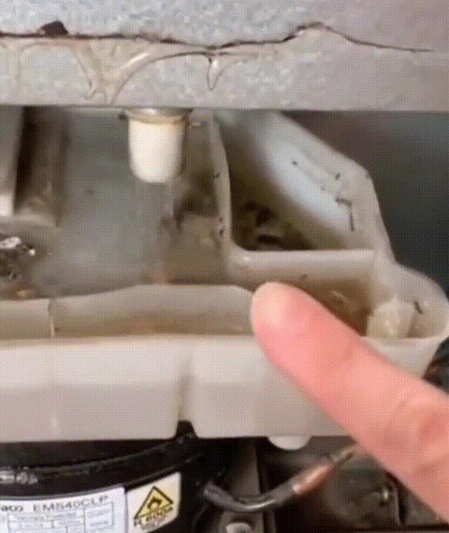 冰箱积水严重教你自制疏通神器,冰箱冷冻室下面有积水怎么回事