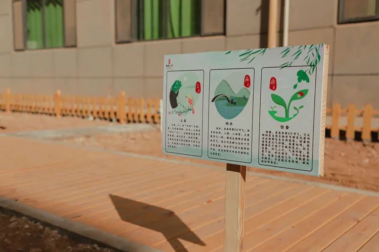 邯郸市丛台区曙光第二小学片区,邯郸市丛台区曙光小学梦想起航