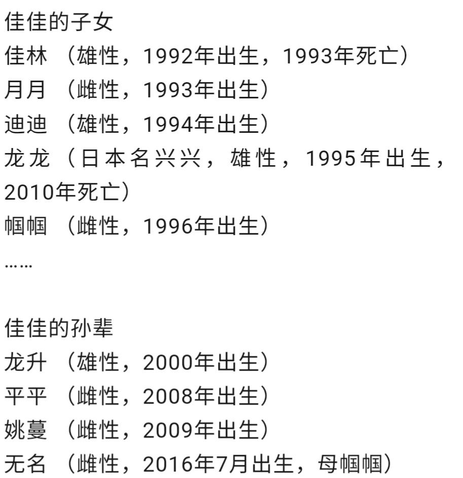 熊猫界几大家族,熊猫的种类有多少种