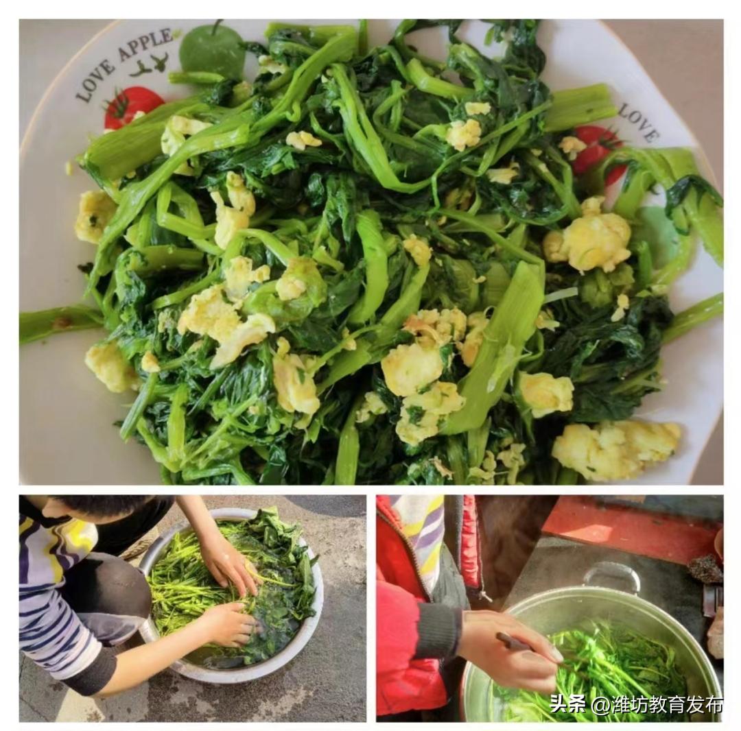 新闻周播报素材,周播报