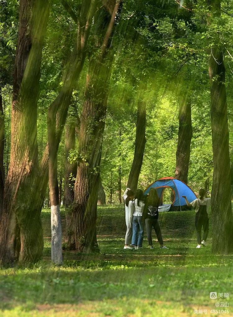 画意风光,画意风光摄影