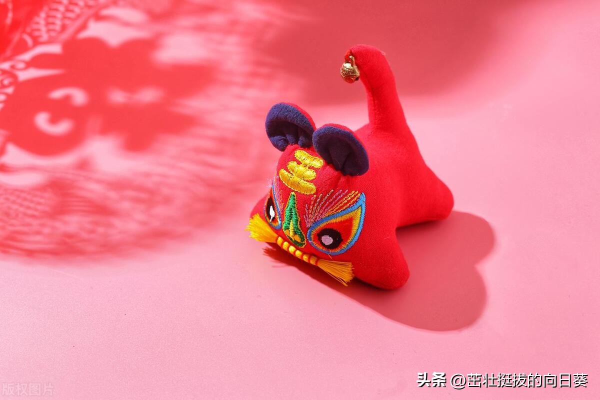 属虎的人受谁的气,属虎的人为什么喜欢老虎