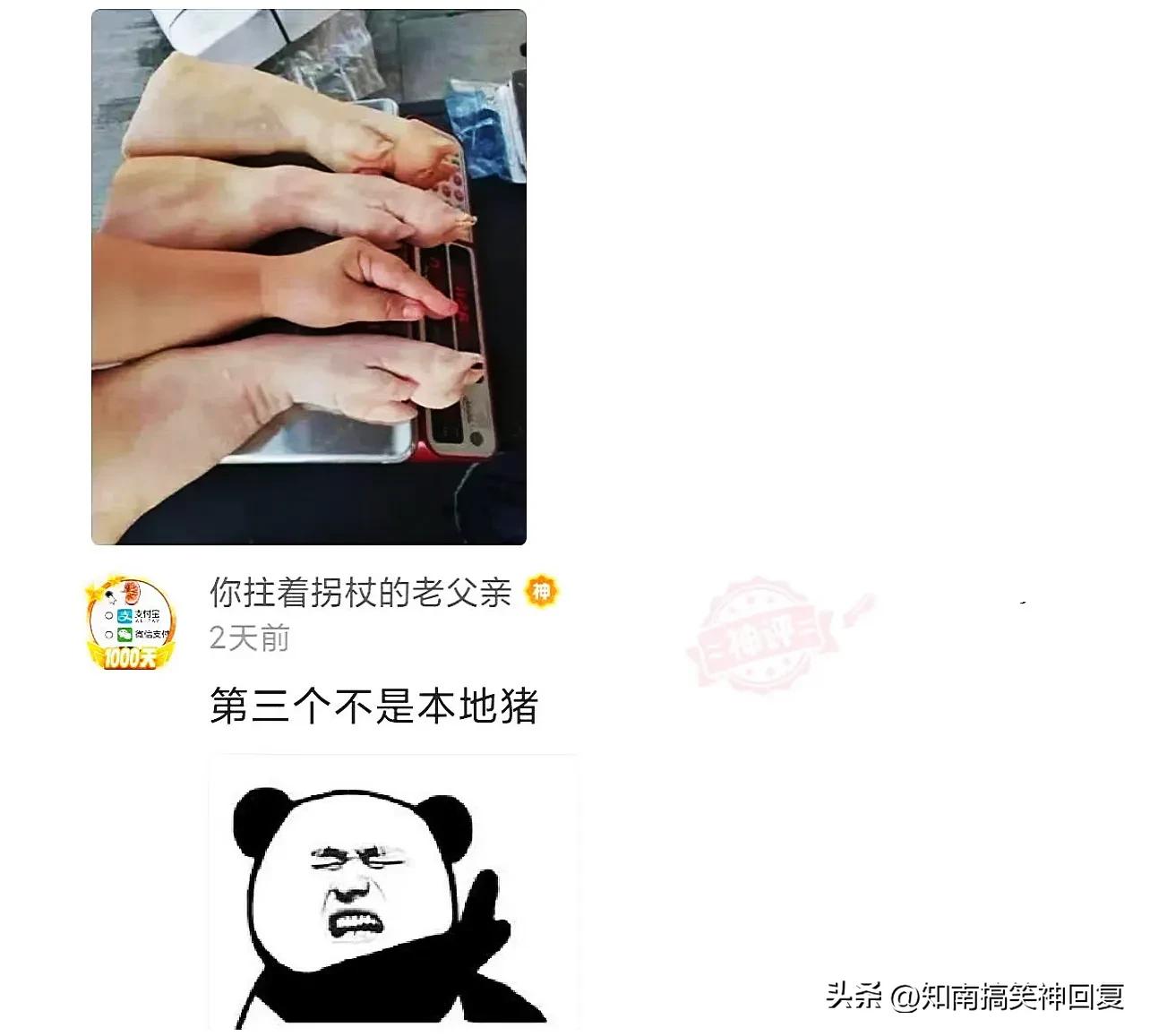 神回复绝了全是套路,神回复如果是你你会怎么选