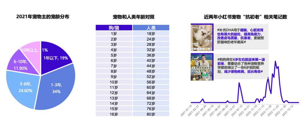 千亿宠物市场规模多大,当前宠物市场的市场规模与前景